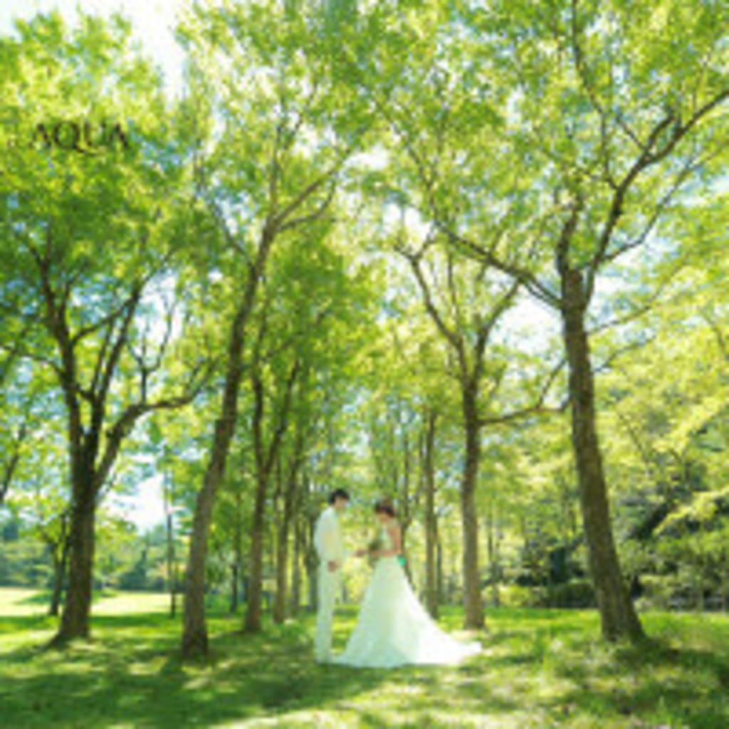 ９月のおすすめロケーション