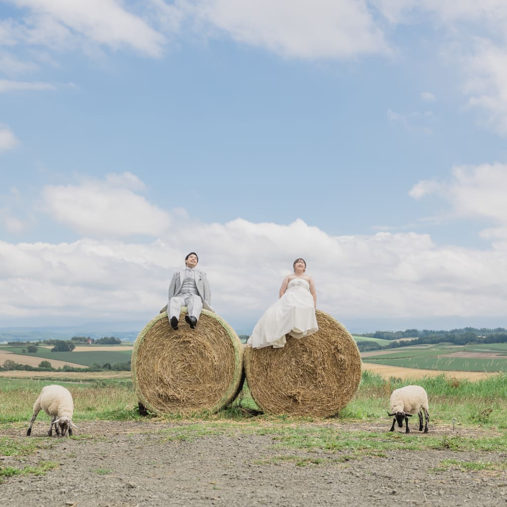 ハネムーン美瑛撮影🐏