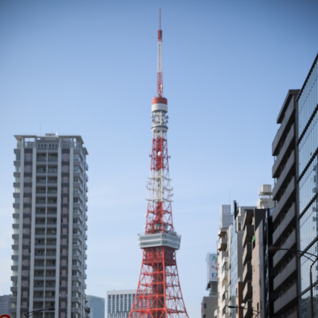 東京タワーをバックに撮影 〜東京周遊ロケーション〜