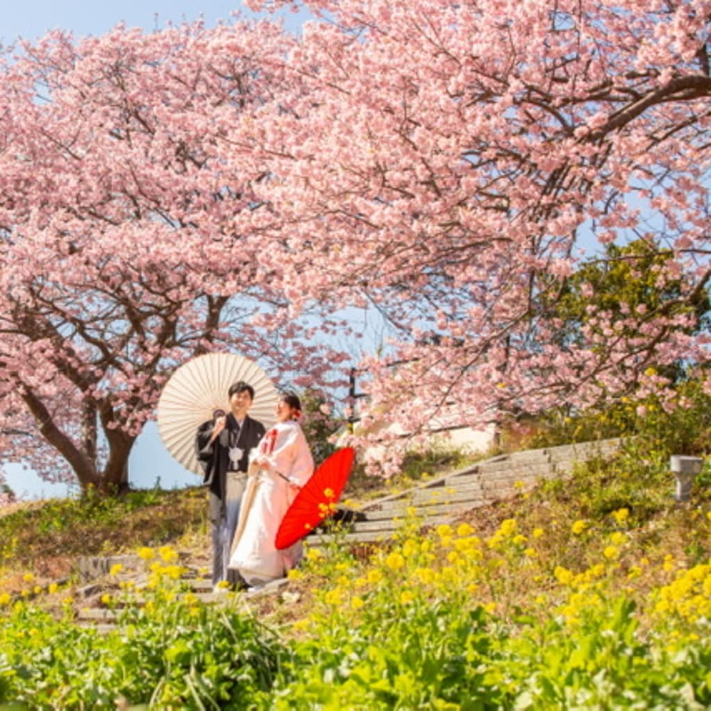 河津桜で一足さきに春満喫🌸