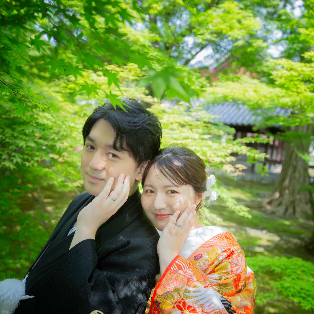 新緑美しい東福寺で