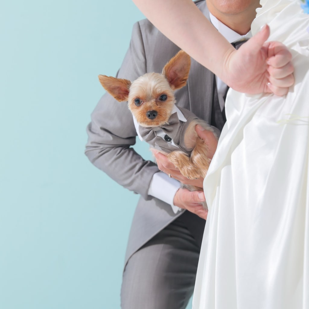 愛犬と一緒に残すウェディングフォト
