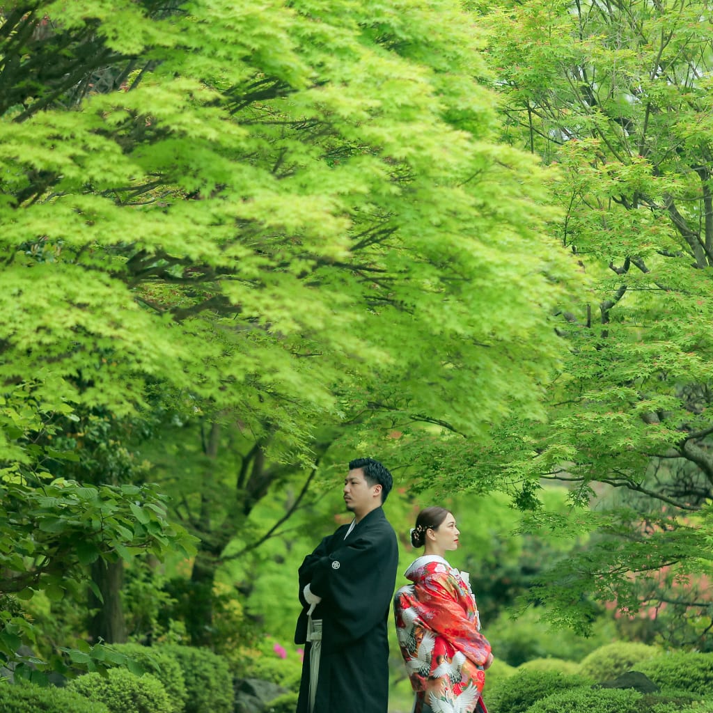 新緑・雨・大仙公園