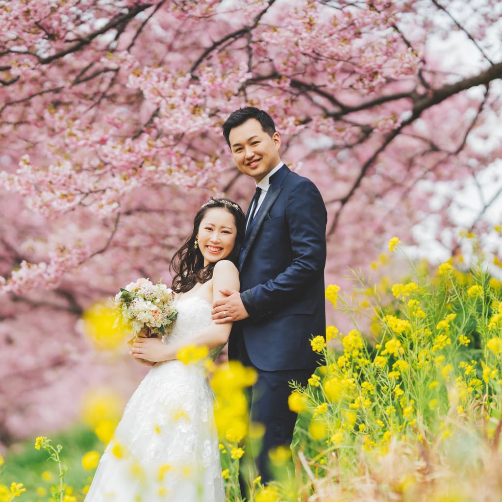 🌸実は2月に桜と撮影ができます🌸