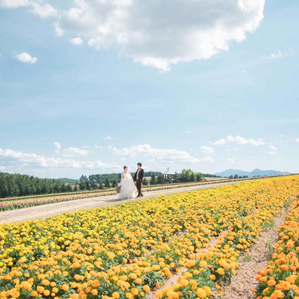 ラベンダーだけじゃない！富良野のお花で華やかなロケーションフォト♪