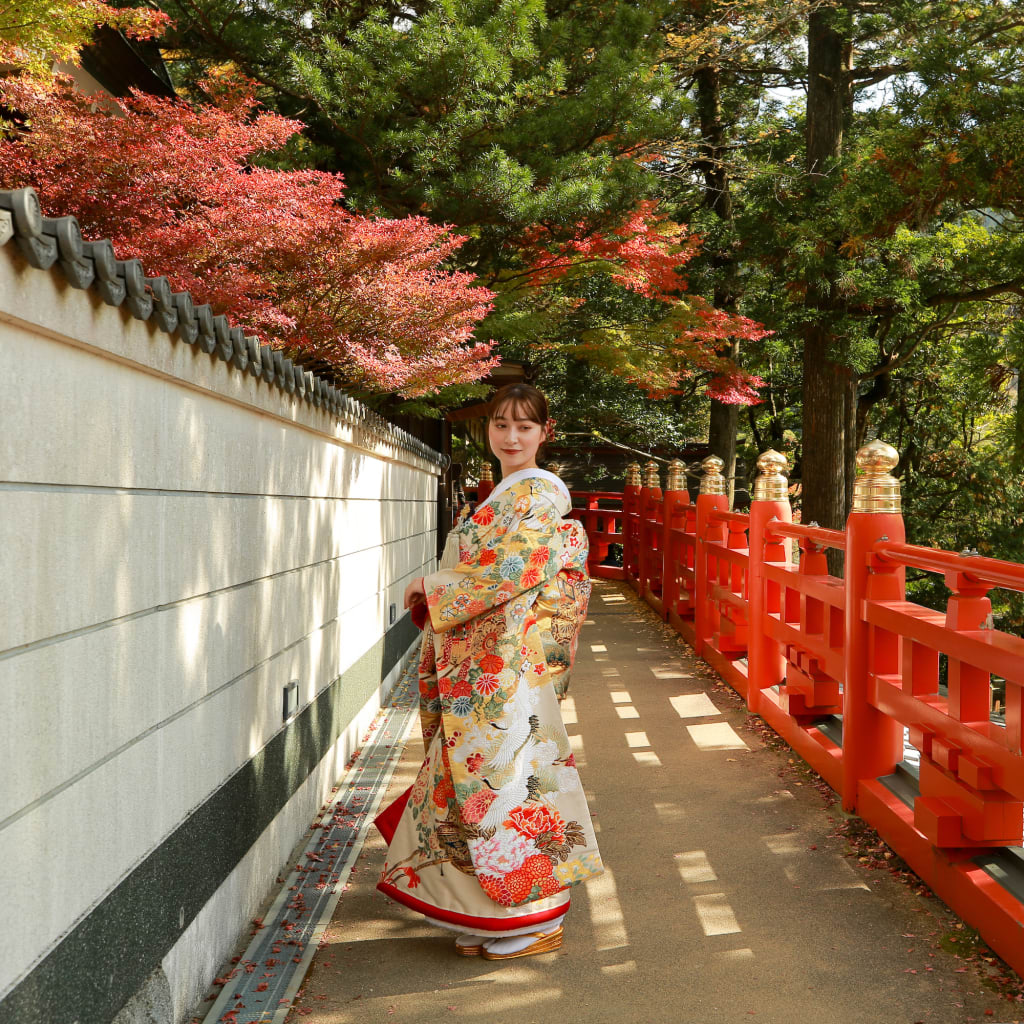 紅葉ロケ🍁呑山観音寺