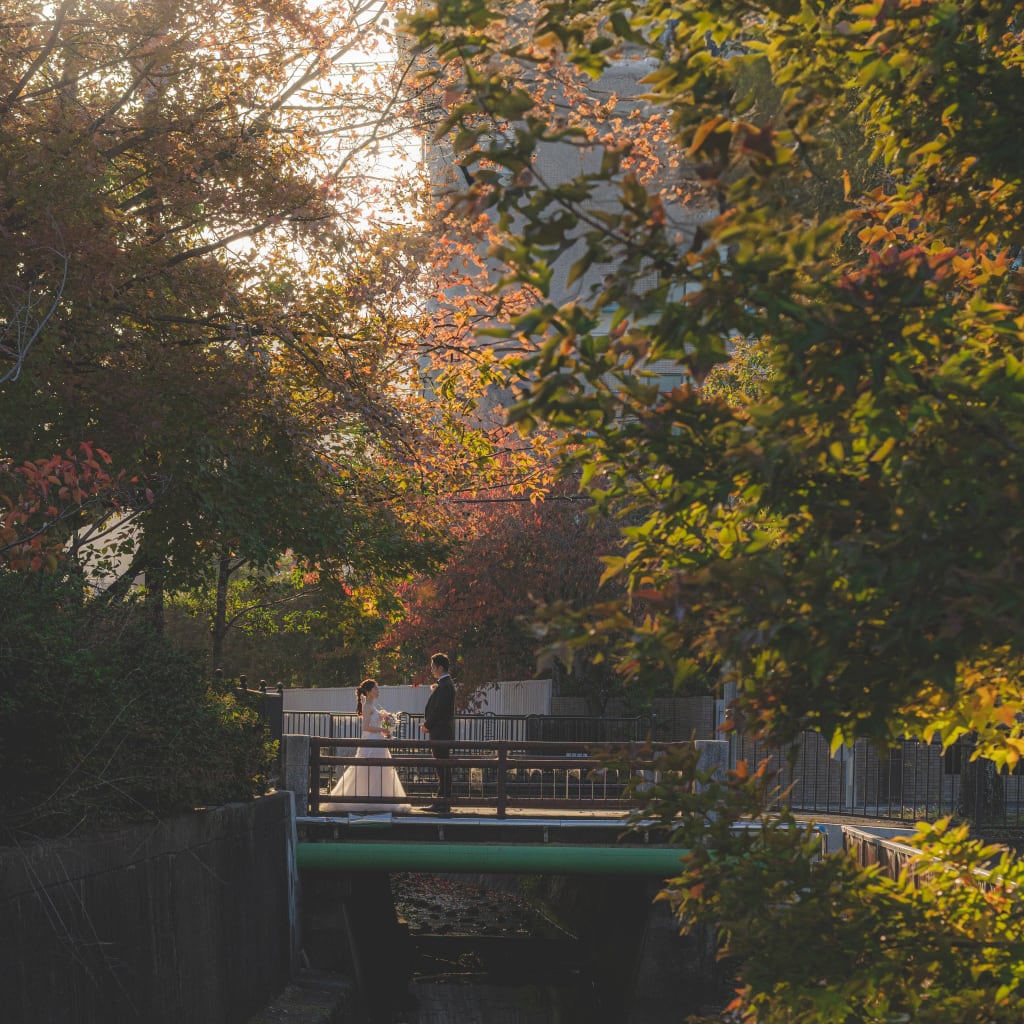 日常だった場所