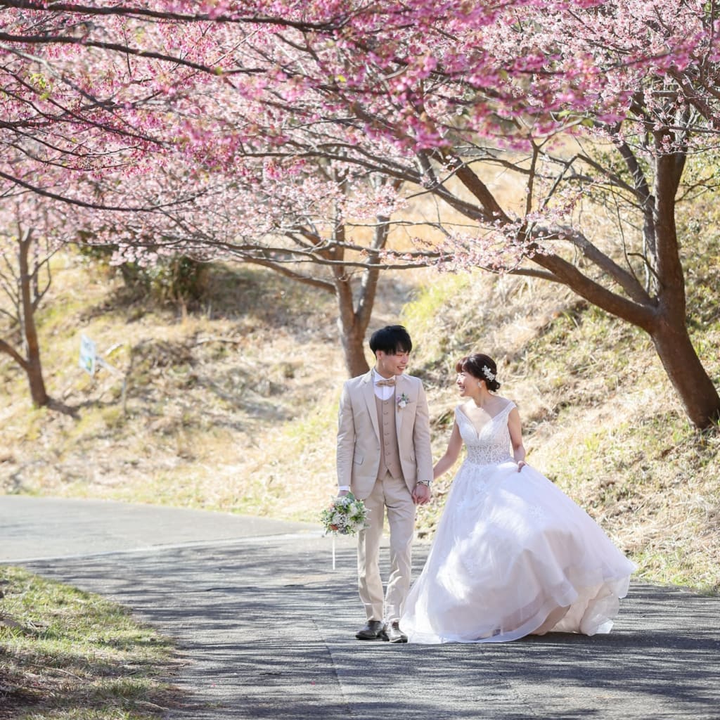 伊豆・河津桜ロケーションプラン