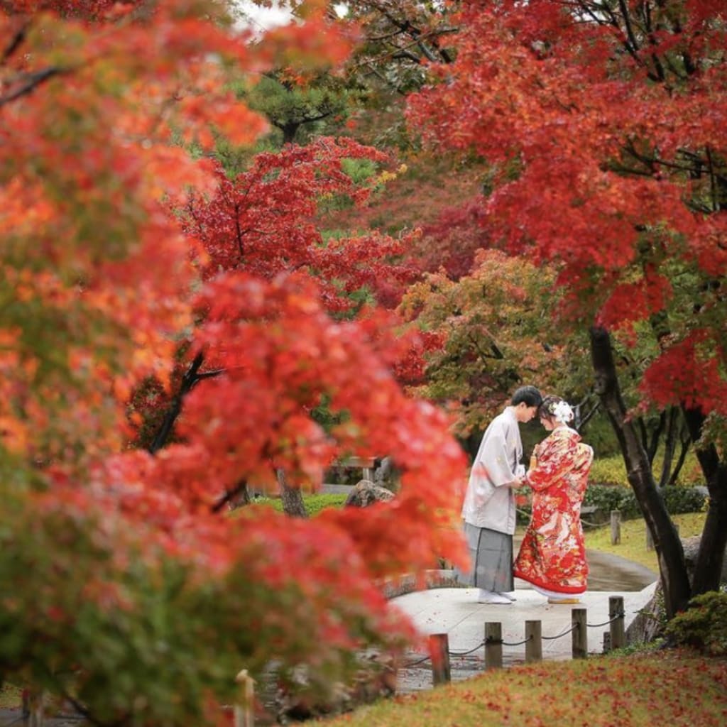 【紅葉シーズン到来】