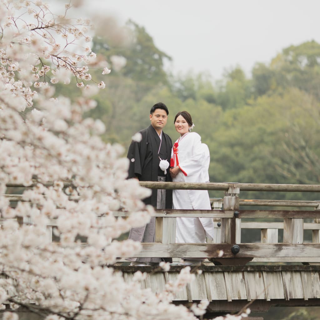 大人気！！桜ロケーションフォト　予約受付中