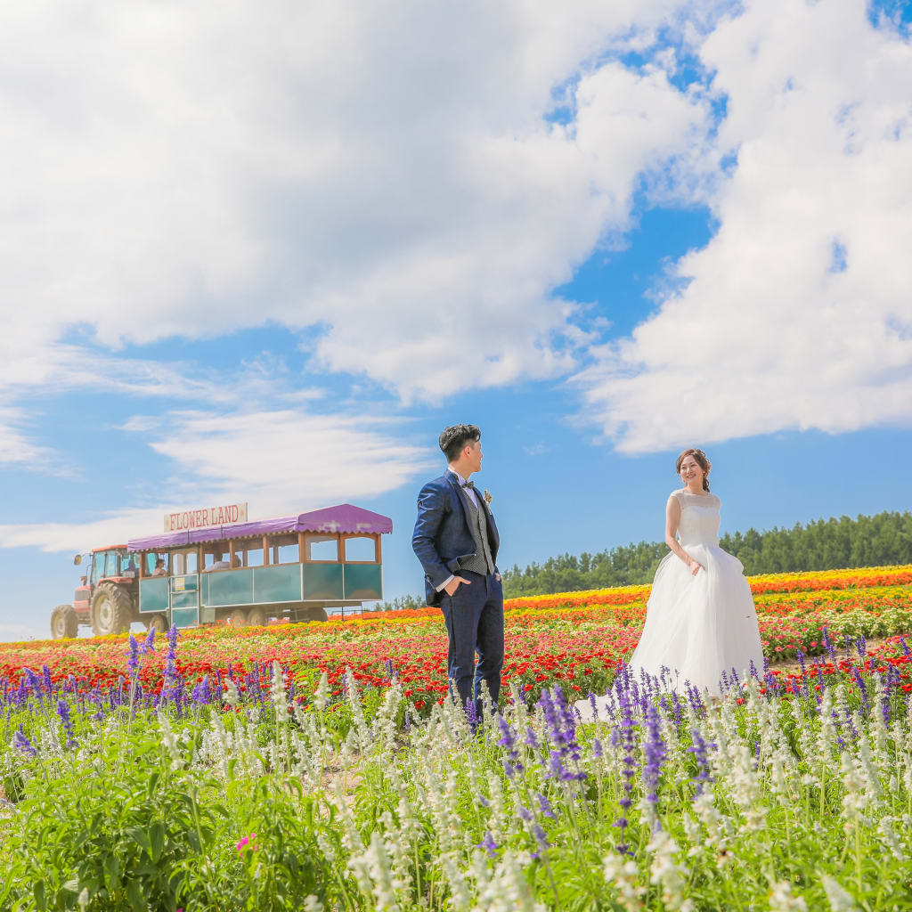 8月が見頃！四季彩の丘とフラワーランドでカラフルなウェディングフォト🌻