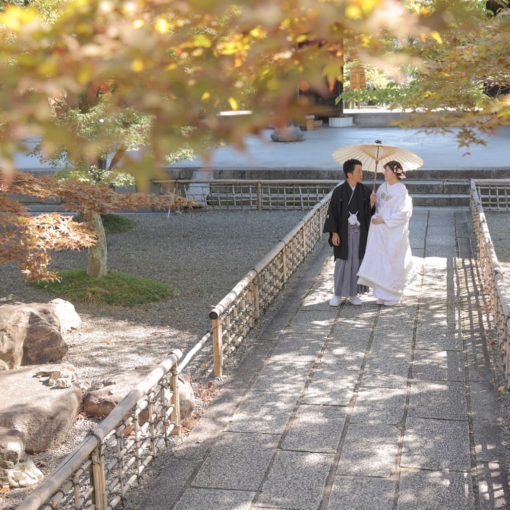 【金戒光明寺】少しづつ紅葉色づいたお庭で