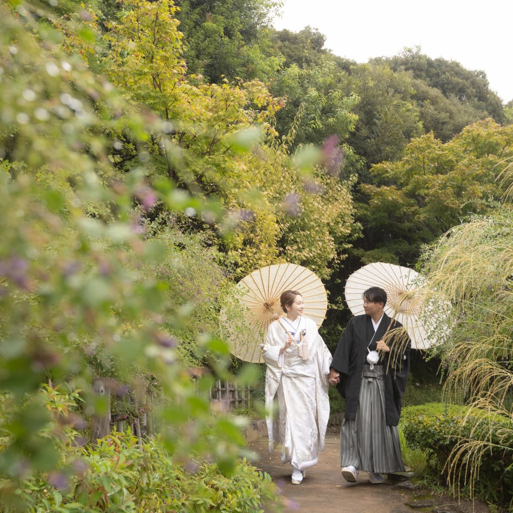 【新緑】緑あふれる雨の目白庭園