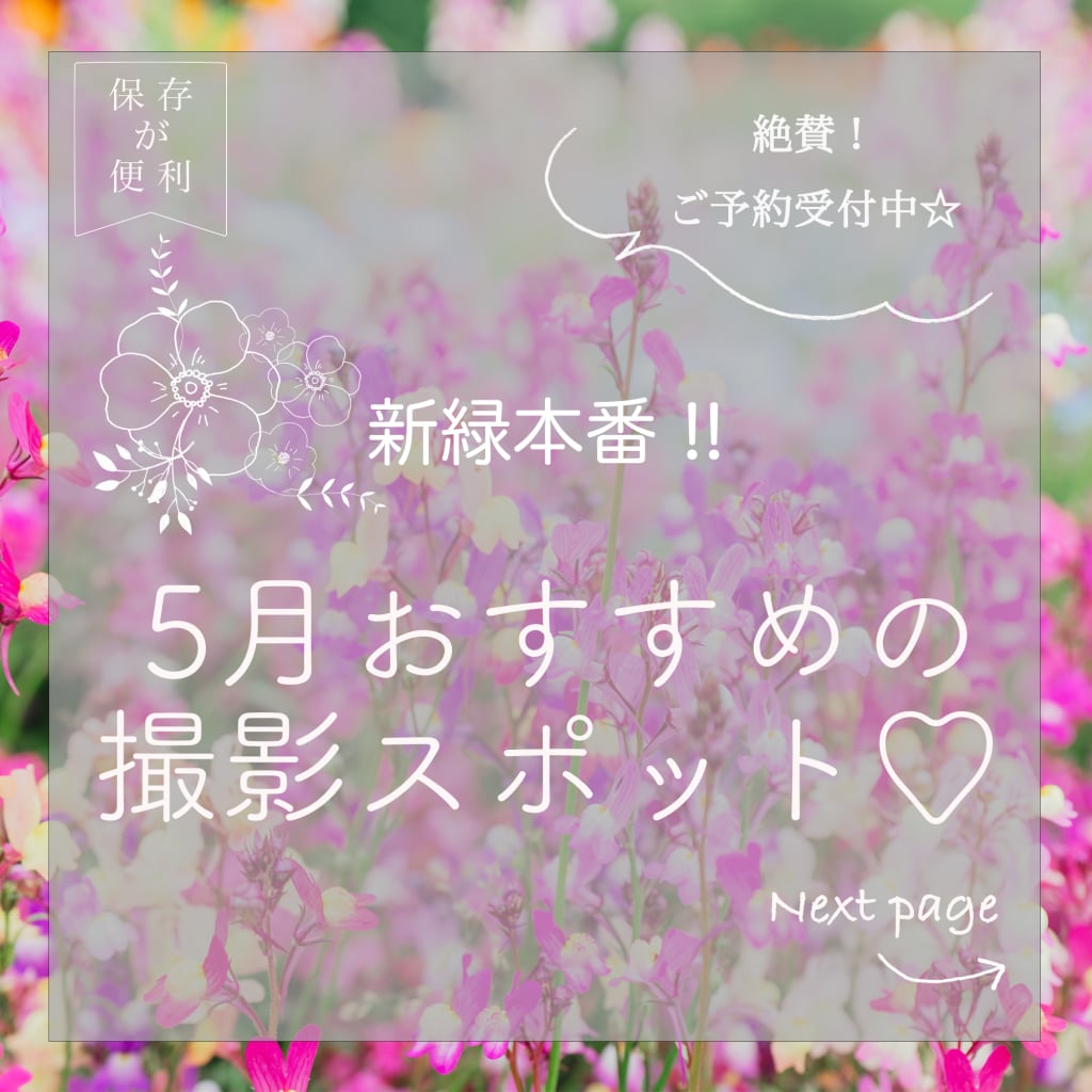 5月撮影のスポット☆
