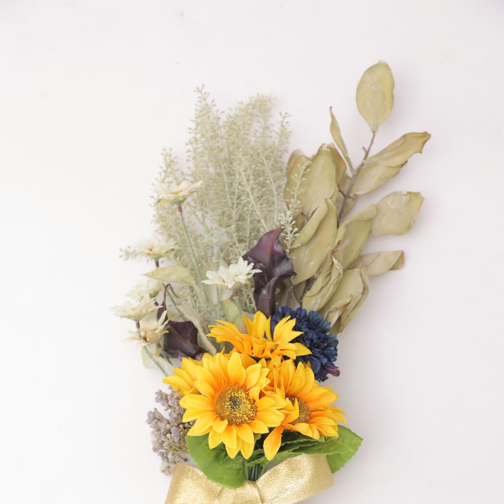 洋装スタジオPLUSプラン🌻
