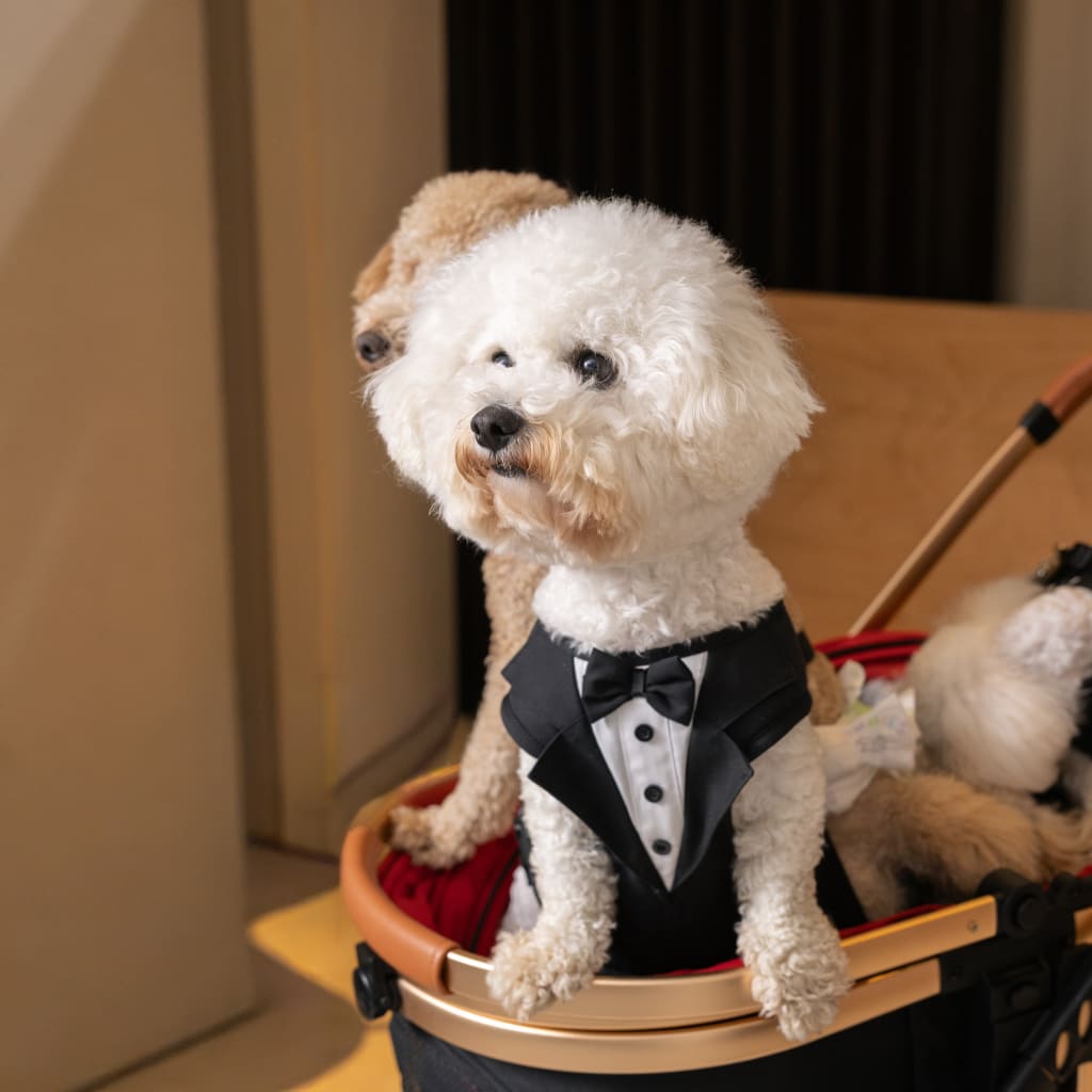 和装フォトも”家族みんなで”叶える特別な一枚