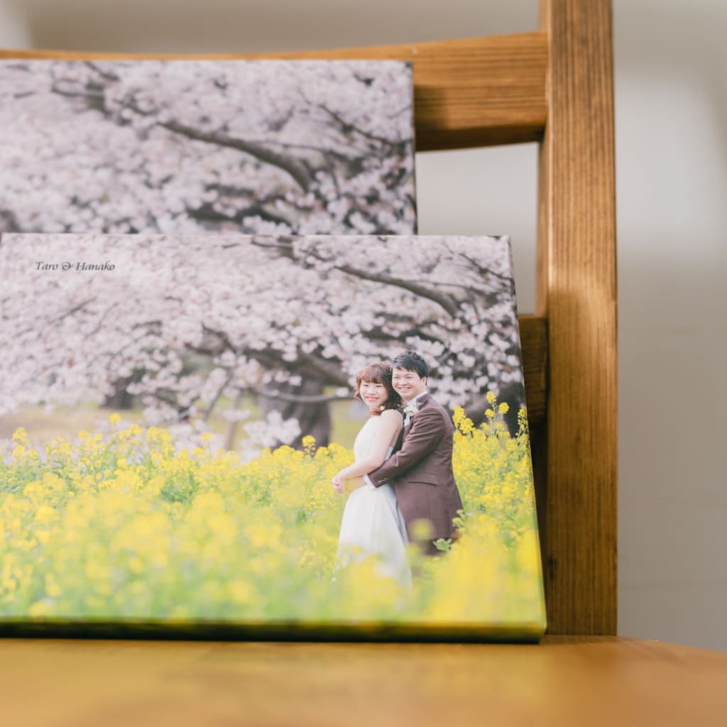 アルバム【SHIRONARI】