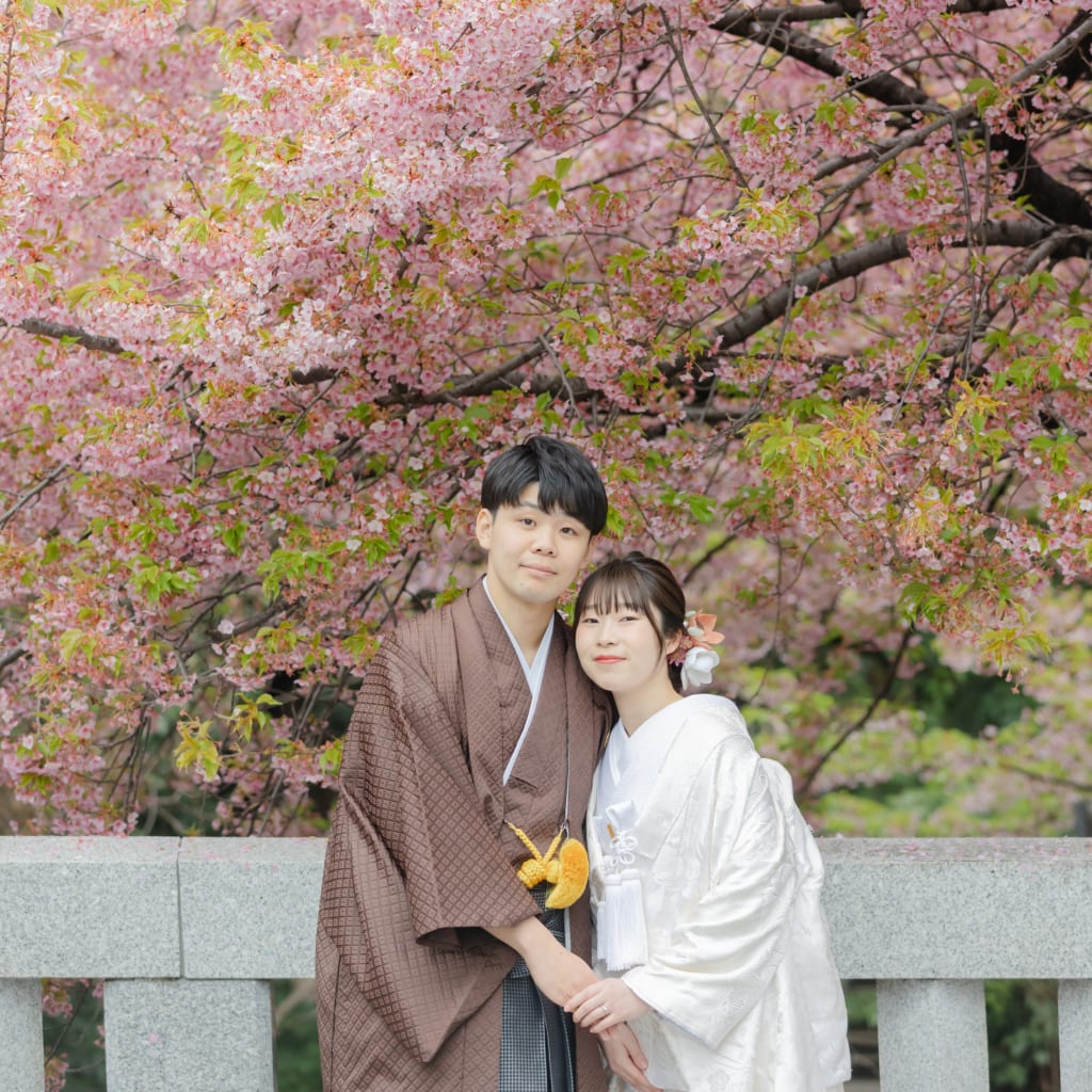 金戒光明寺と桜モリモリの一条戻橋🌸
