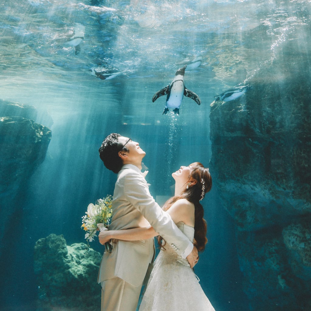 幻想的な京都水族館で紡ぐ、絆のウェディングフォト