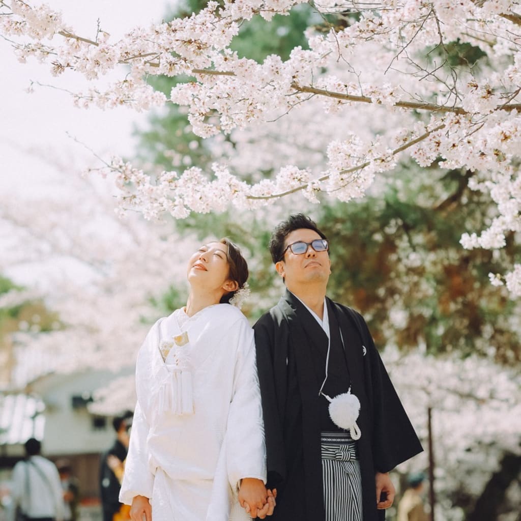 桜満開の八坂で、おひさまにも恵まれたロケーション撮影♪