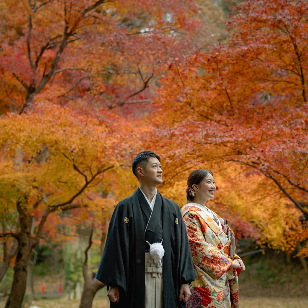 オススメ紅葉ロケ地のご紹介　〜泉自然公園〜