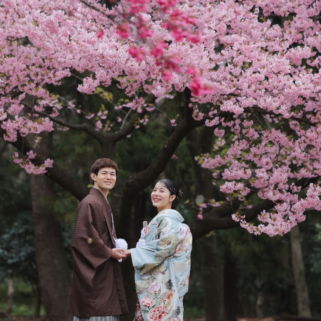 桜ロケーション