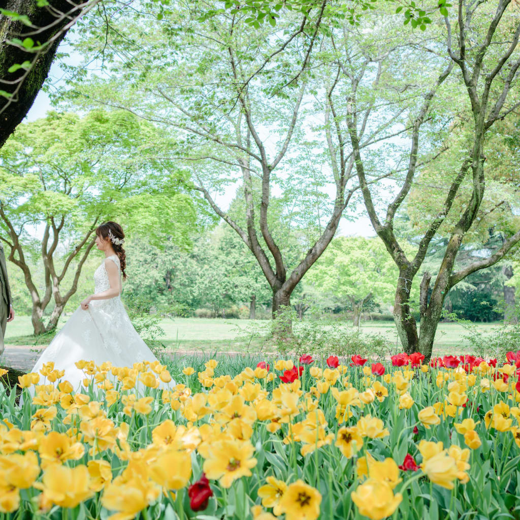 桜だけじゃない！春から魅力満載な昭和記念公園♪