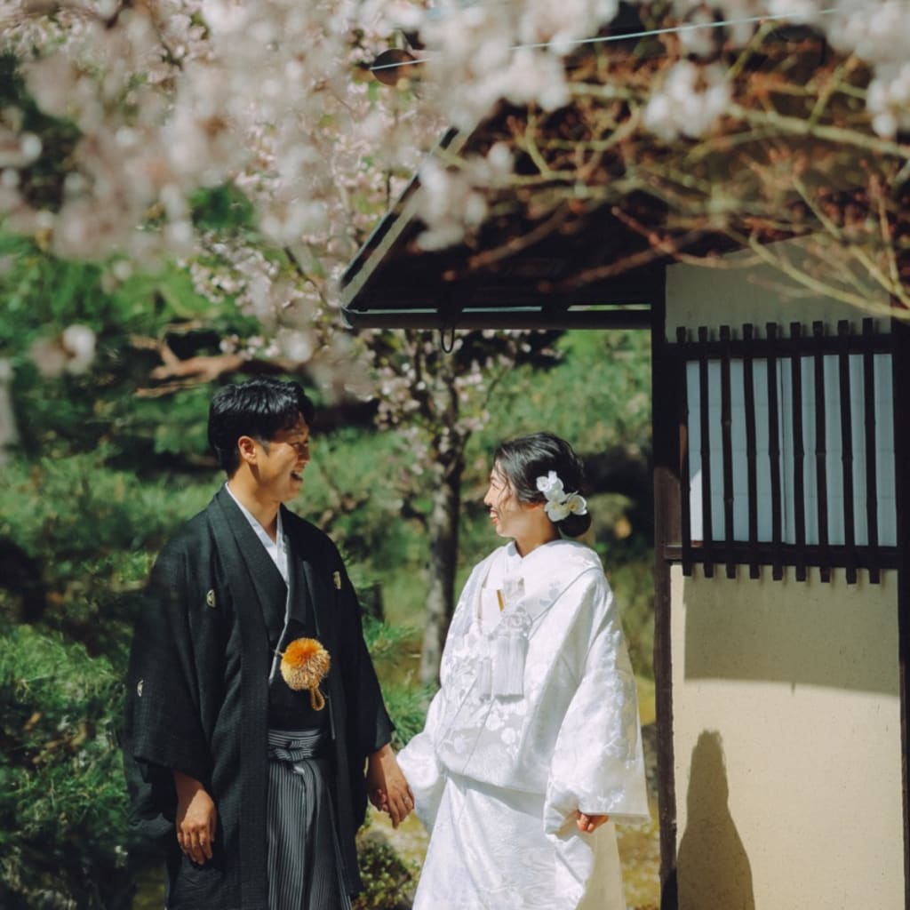 桜満開の金戒光明寺