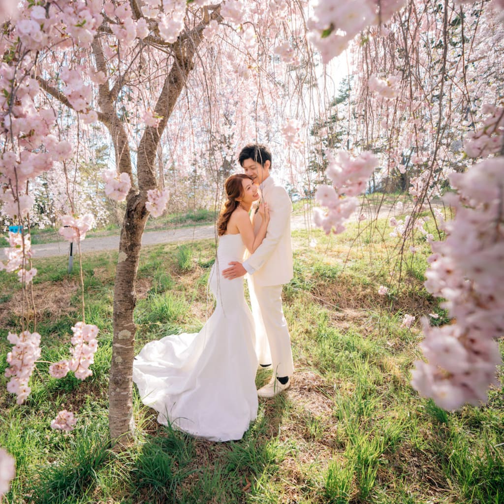 桜の見頃・スポット別紹介！