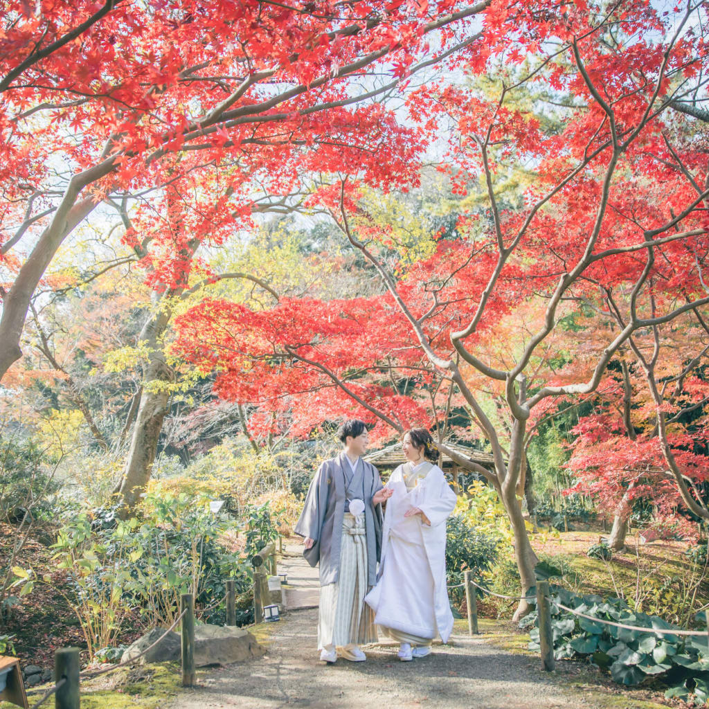 紅葉の美しい三溪園で　photo by Kaito saito