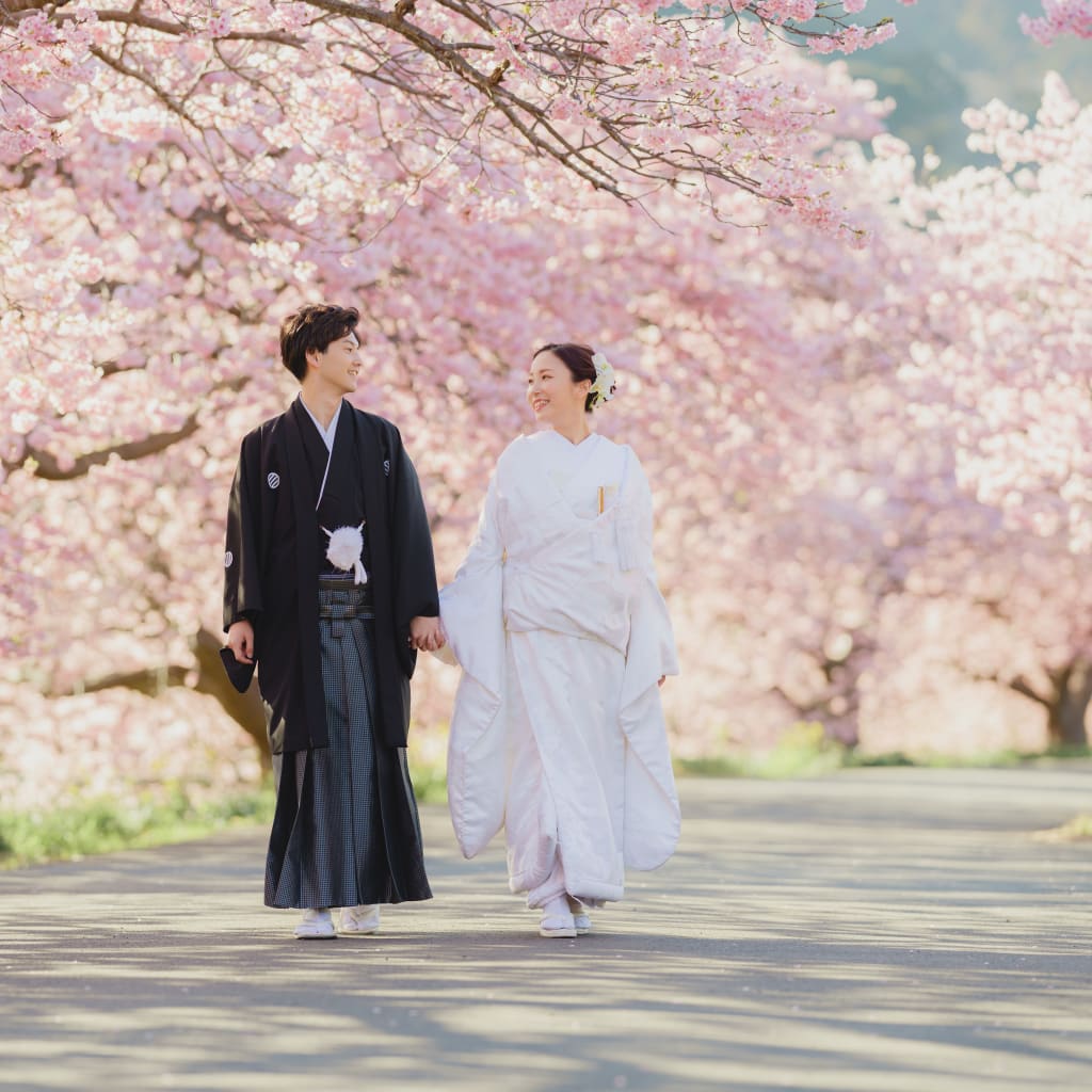 ピンクに色づく河津桜で撮影しませんか？