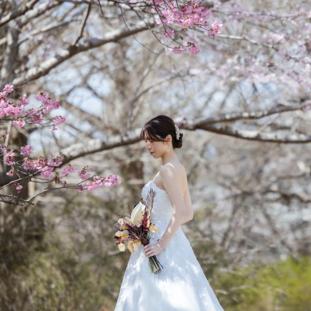 桜のロケーション撮影