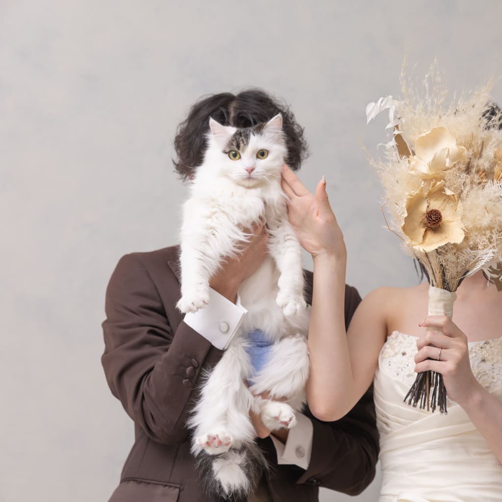 【スタジオAQUA】可愛いペットと記念撮影♡