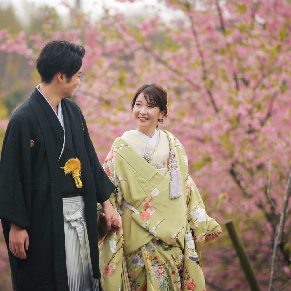 福岡の河津桜🌸
