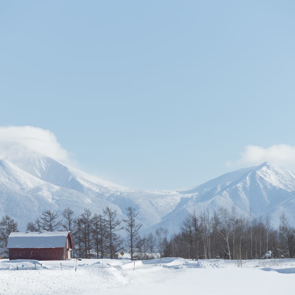 ついに本日、今季初めての積雪☃️