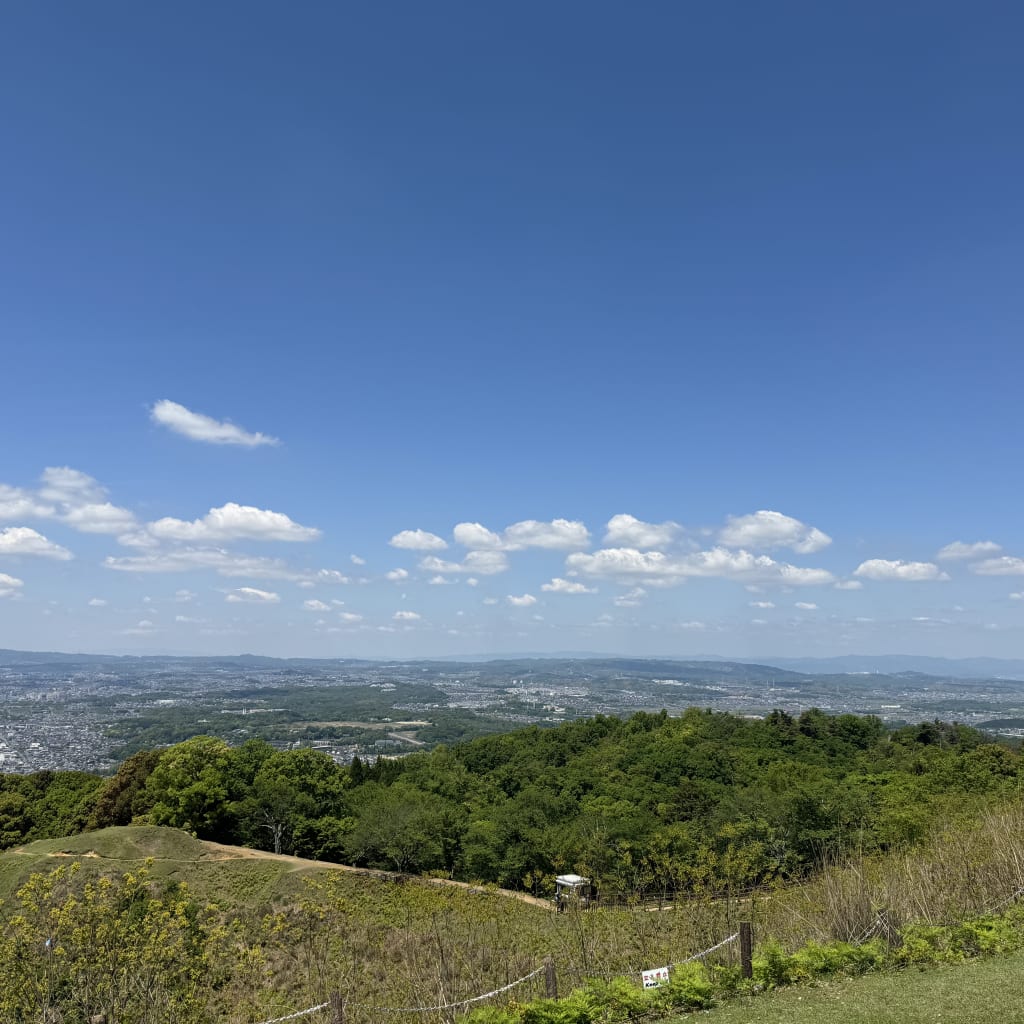 良い天気が続いています♡