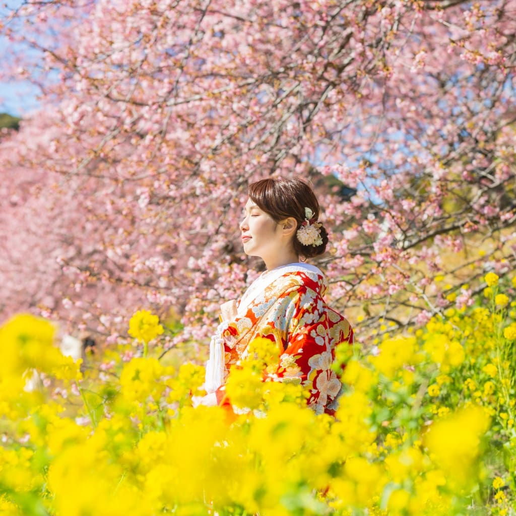 和装お着物色々。河津桜プランでの撮影フォト。