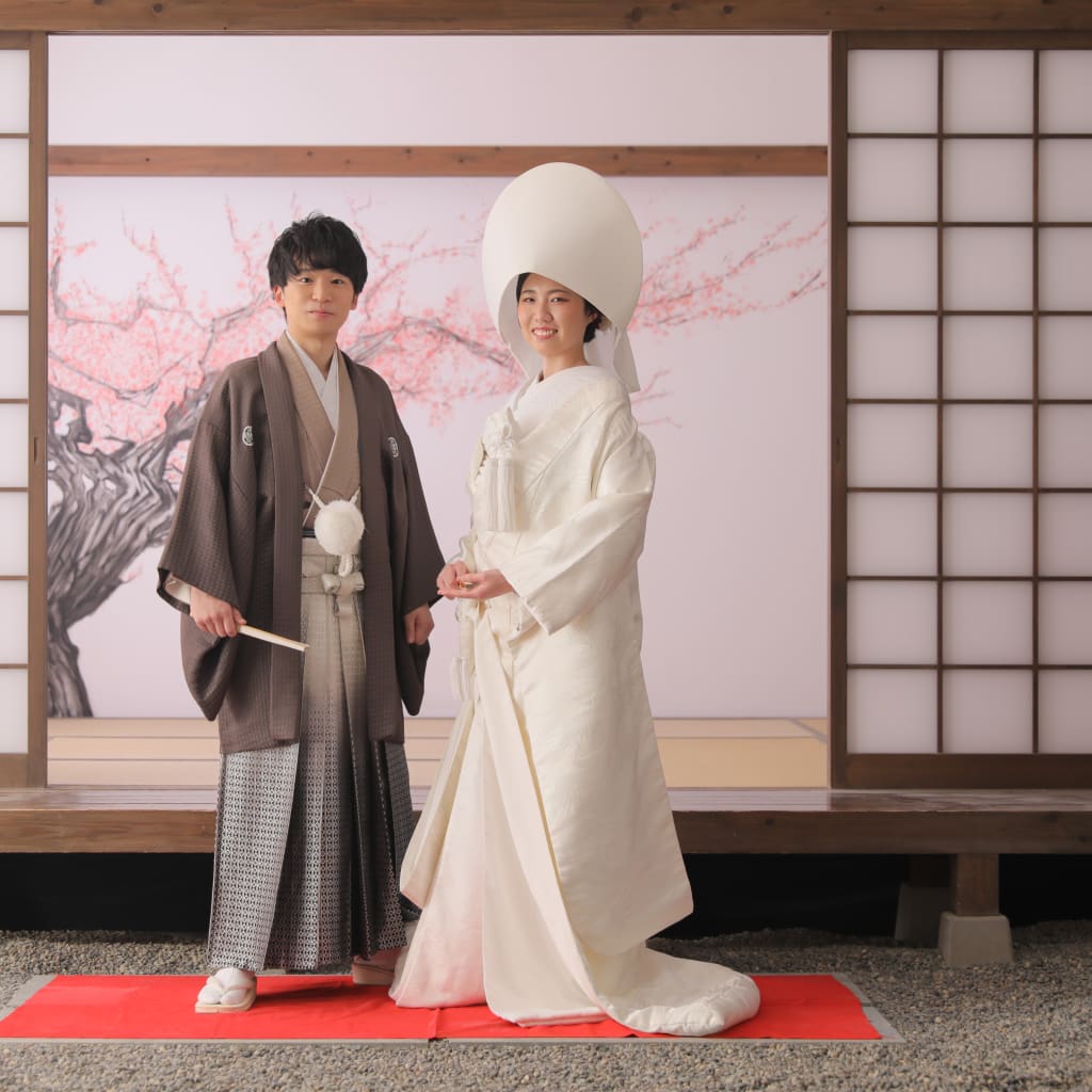 綿帽子で屋内庭園