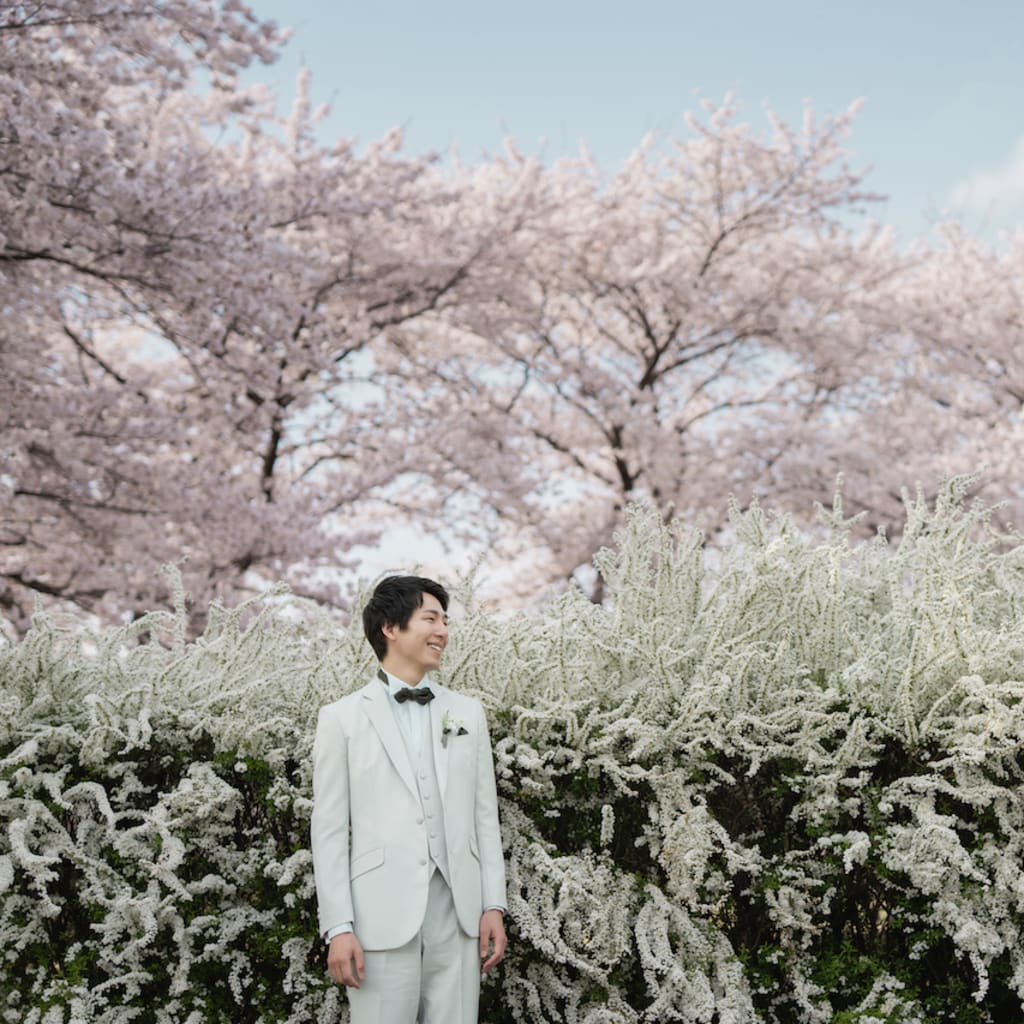 桜シーズン4月の上旬【東御中央公園】