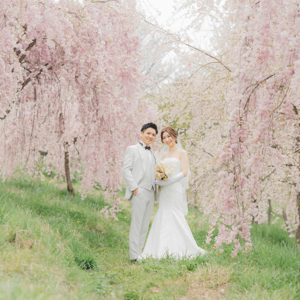 2024軽井沢桜ロケーション！穴場の日にち！【2024.3.13時点】