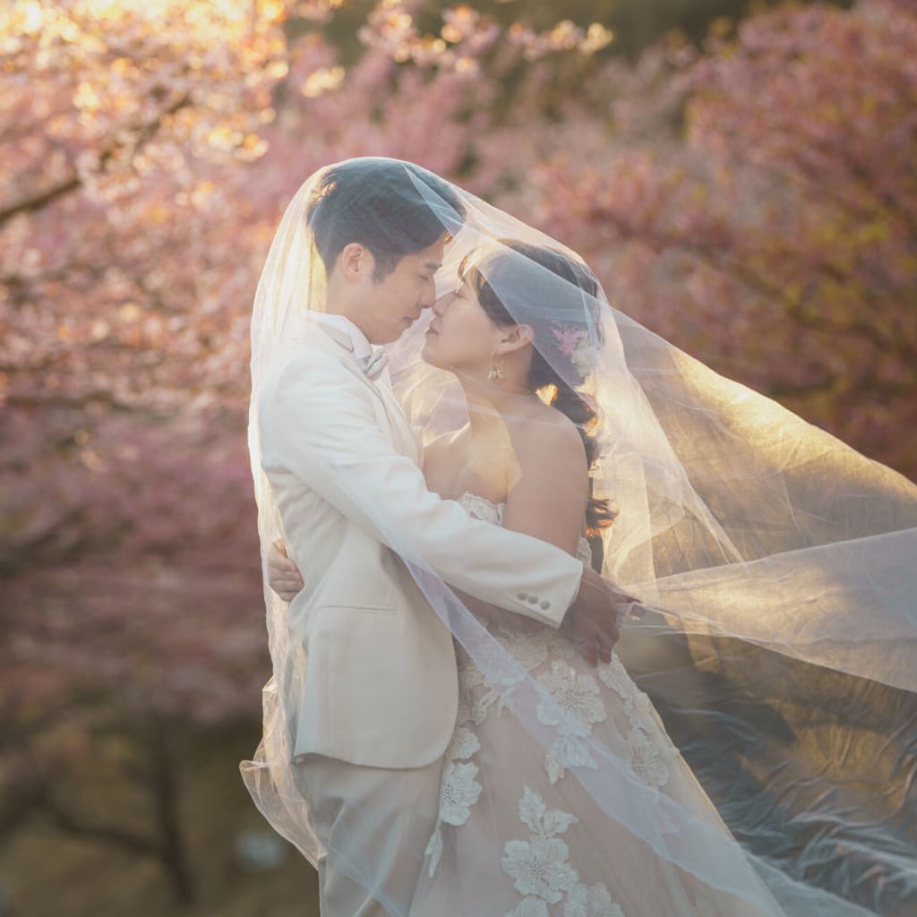 河津桜ロケーションのご紹介！🌸