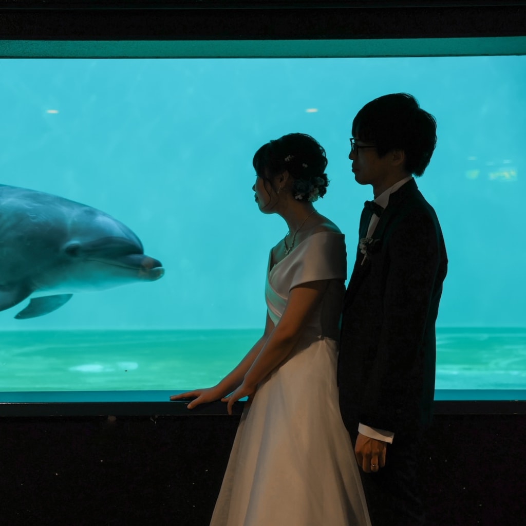 水族館でウェディングフォト