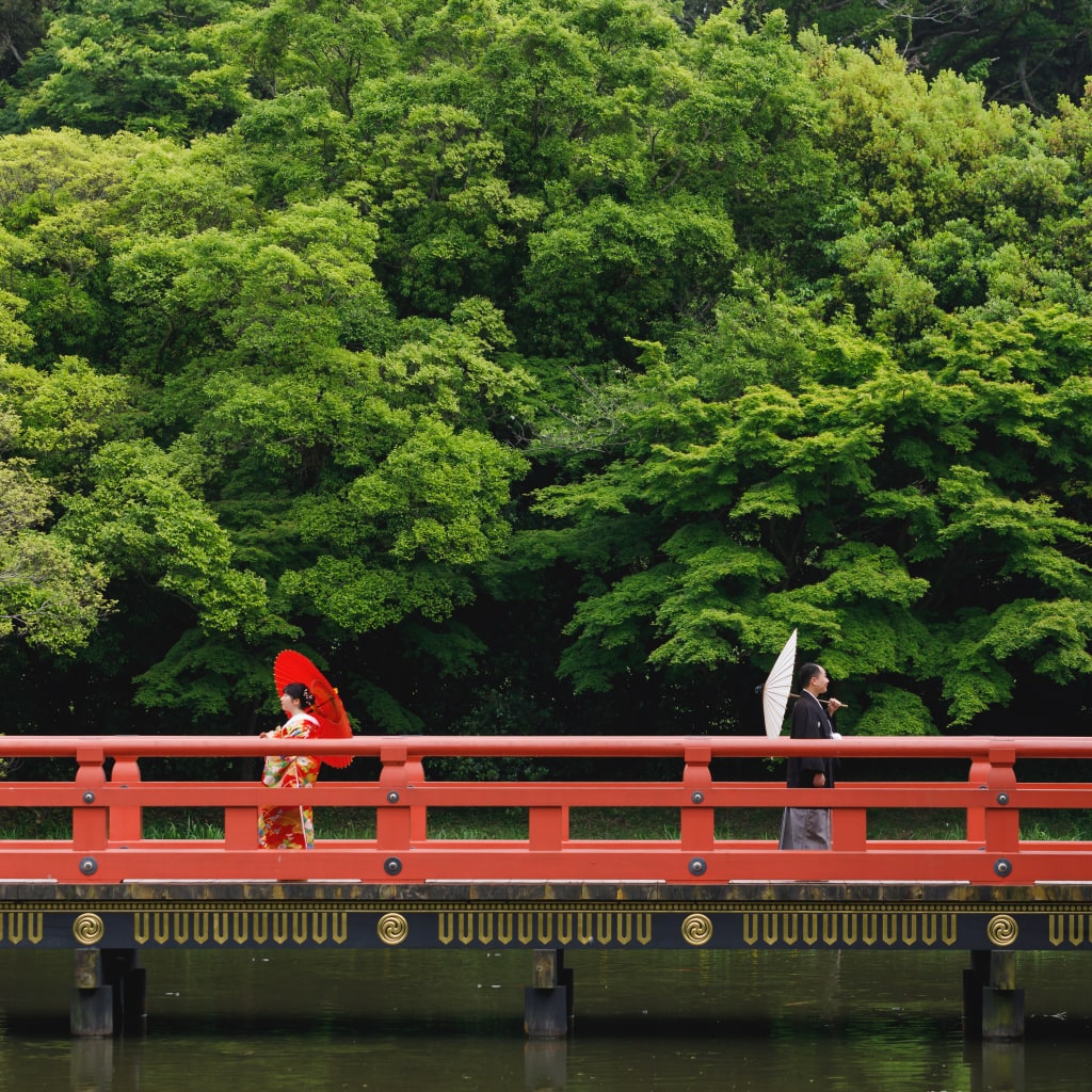 新緑の称名寺