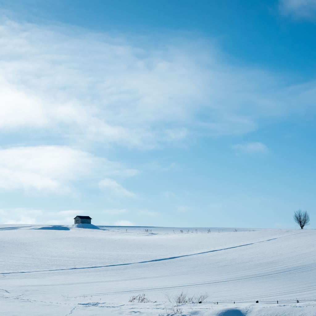 冬の美瑛は日が短い！撮影時間も大切なポイント⛄️