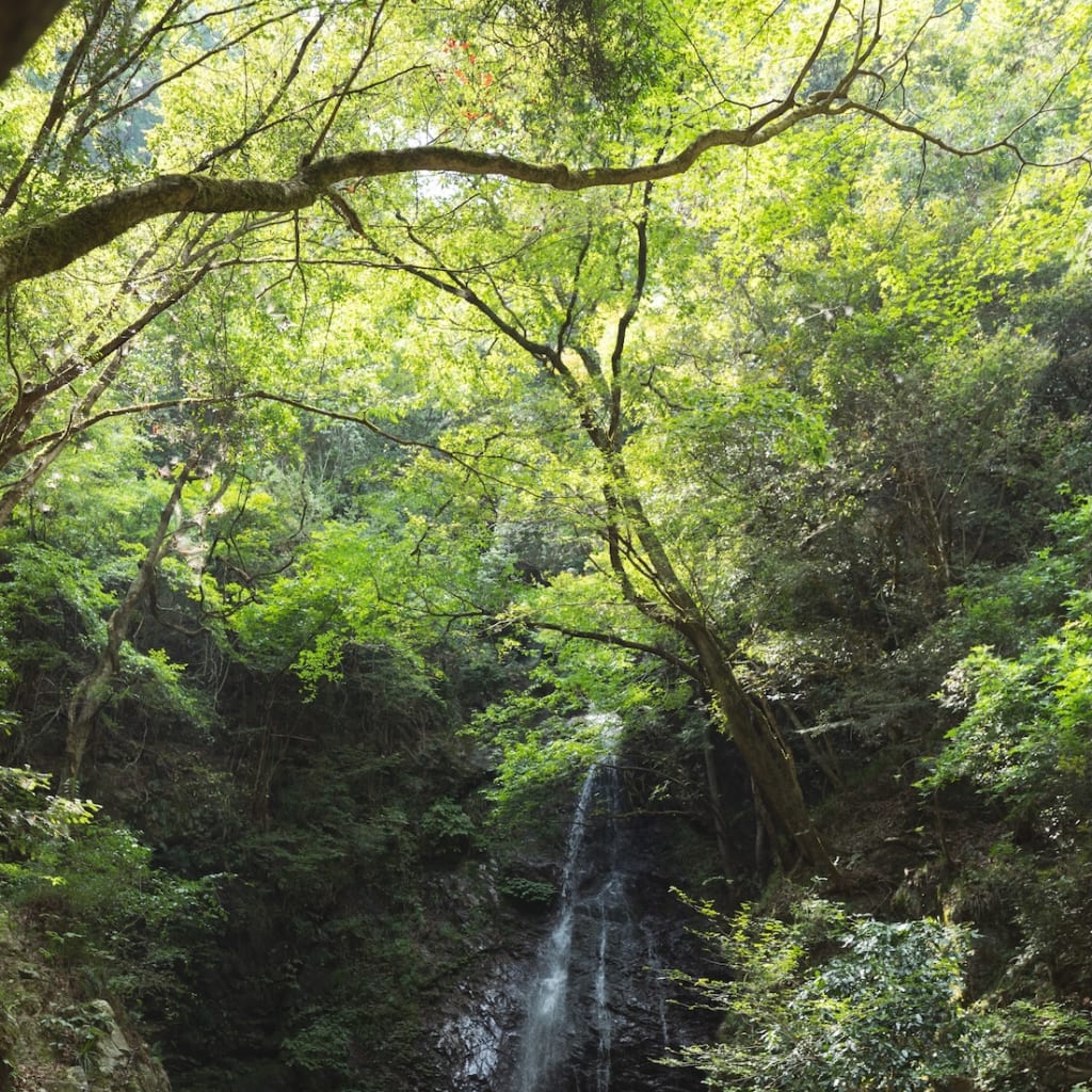真夏の奥多摩ロケーション！大自然で清涼感を。