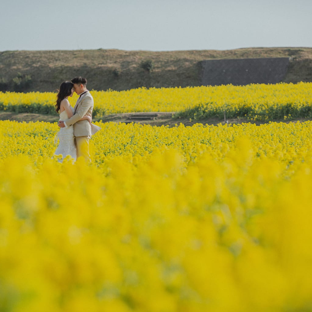 淡路島いいところ。