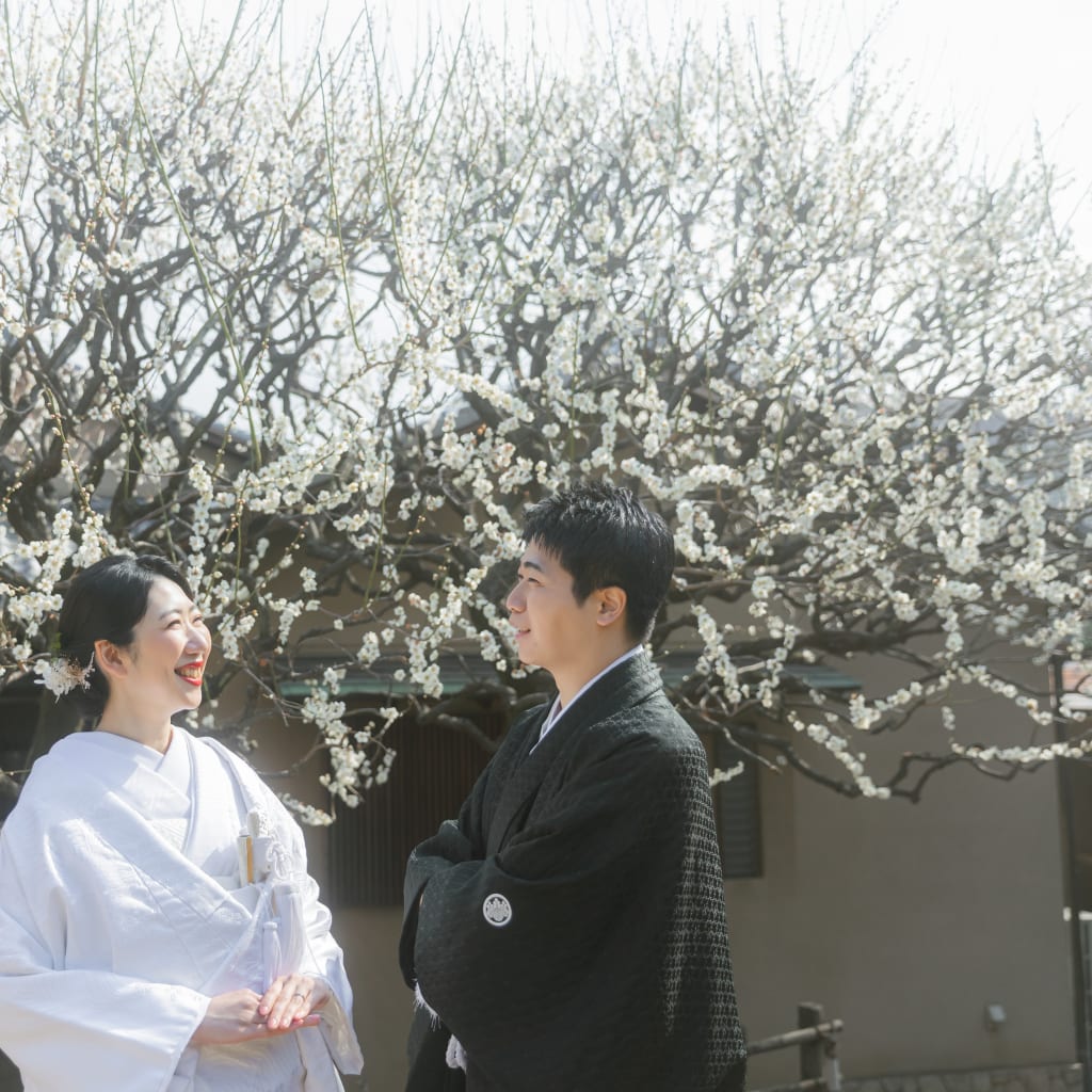 お茶室とお庭でも。梅の季節の【目白庭園】