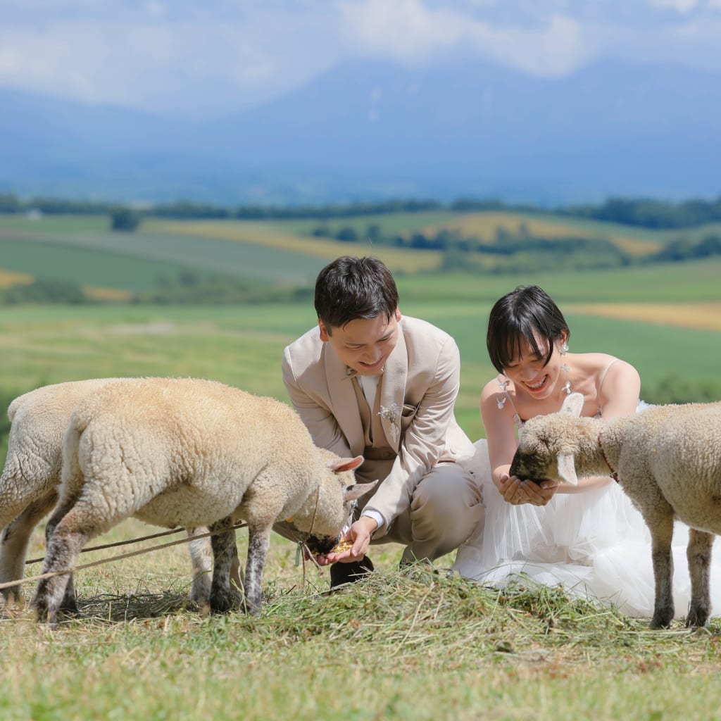 北海道で動物と触れ合えます！！