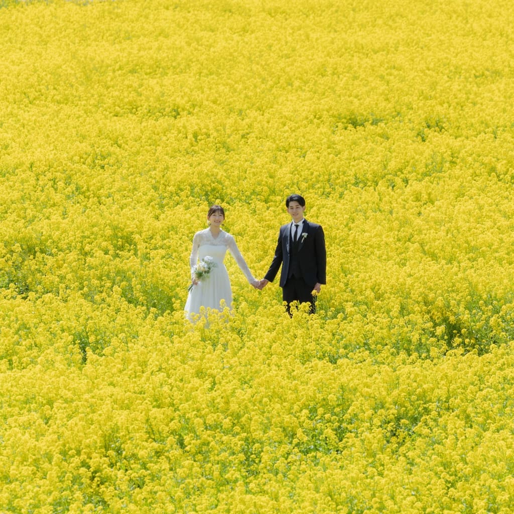 春の彩りに包まれて。河津桜と伊豆の絶景散歩。