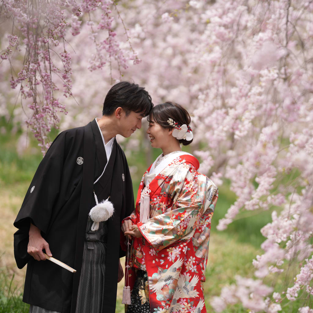 日本の春と和装の美しさ